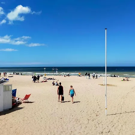 Awesome In With Wifi * Ostend