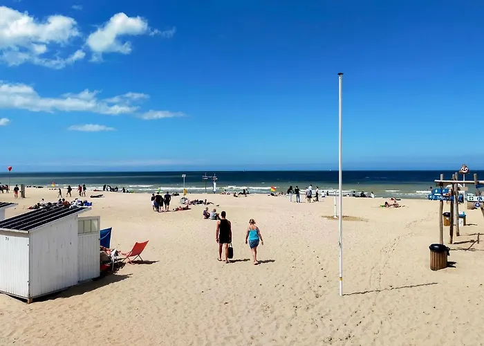 Awesome In With Wifi * Ostend